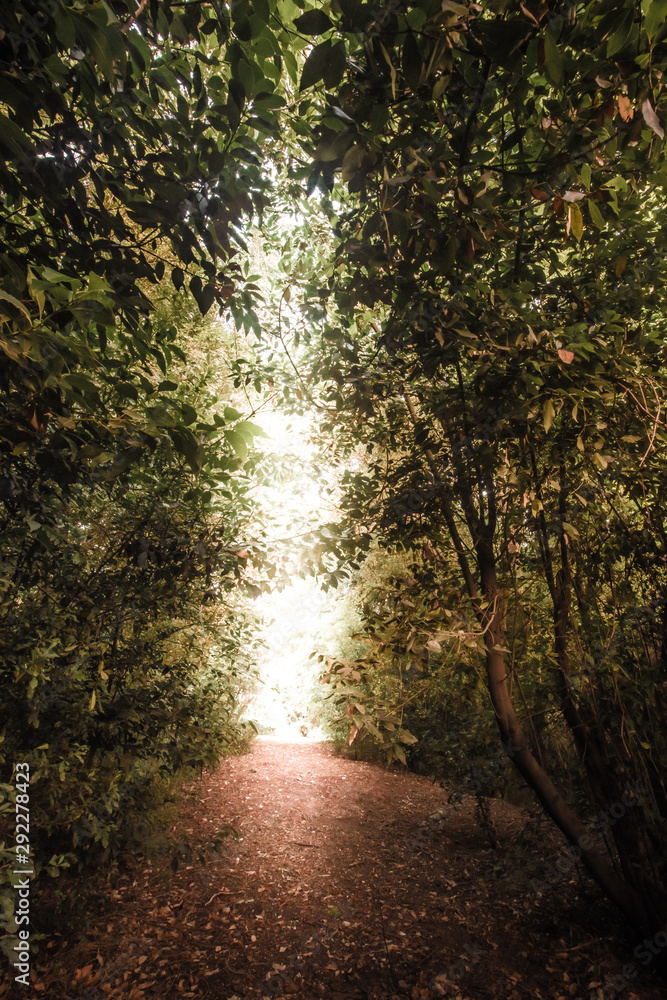 Obraz premium the other side