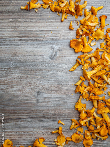 Yellow chanterelle cantharellus cibarius on rustic wooden background