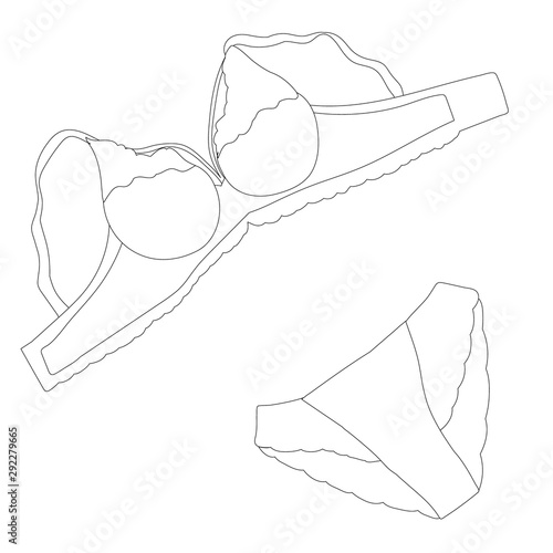 isolated, contour, sketch, lingerie, underpants and bra