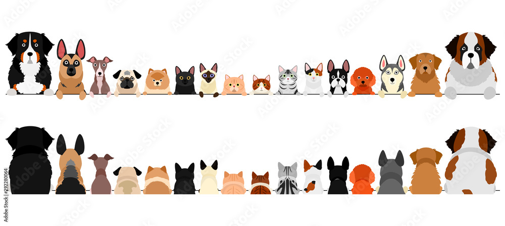 small and large dogs and cats border set, upper body, front and back - obrazy, fototapety, plakaty 