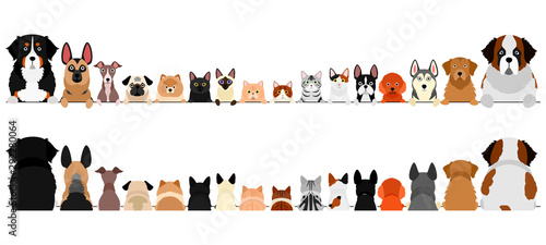 small and large dogs and cats border set, upper body, front and back © Studio Ayutaka