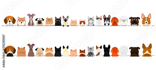 small  dogs and cats border set, upper body, front and back © Studio Ayutaka