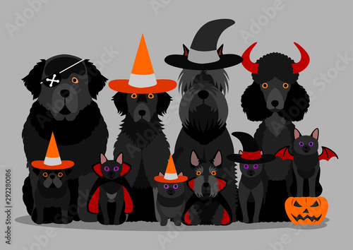 group of  black halloween dog and cat