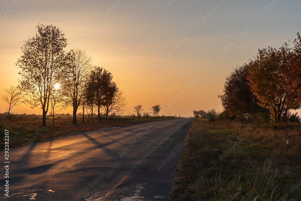 Beautiful sunset with warm sky on background of autumn trees