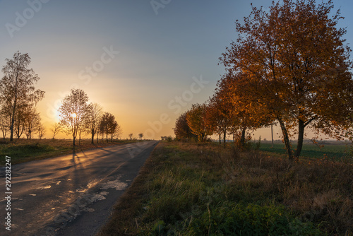 Beautiful sunset with warm sky on background of autumn trees