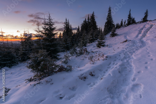 Winter landscapes of the Ukrainian Carpathian Mountains