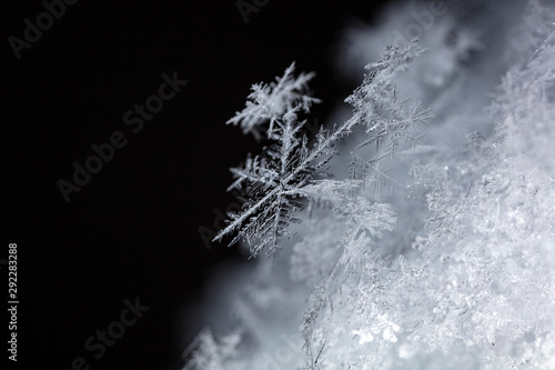 natural snowflakes on snow  winter