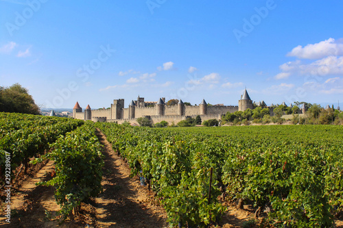 Cité de Carcassonne / France 