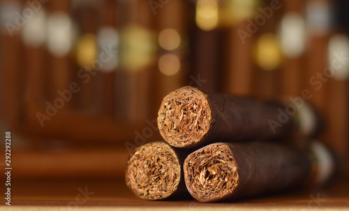 Tobacco cigars thick, brown new closed up selective focus on blurred row of different cigars
