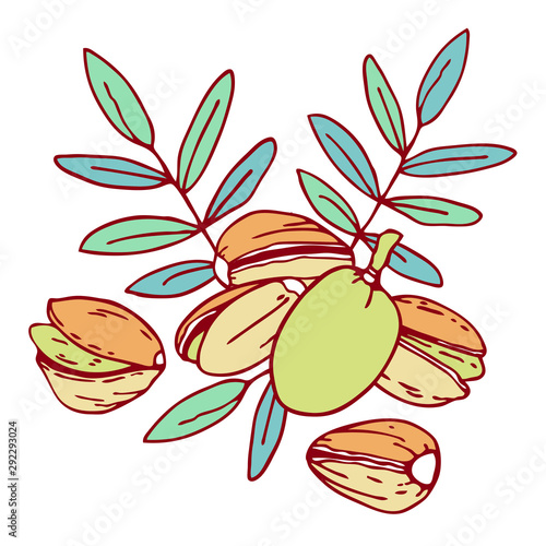 Composition with pistachio nuts and leaves. Hand drawn outline vector sketch illustration