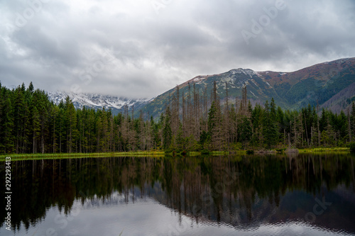 Natural lake hidden in high mountain  Tatras  in the middle of forest