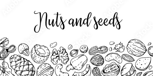 Nuts and seeds on tje bottom of the page. Frame design template. Hand drawn vector outline sketch illustration photo