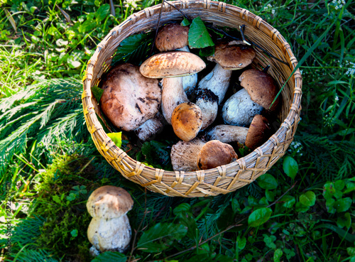 Autumn composition with mushrooms in a basket