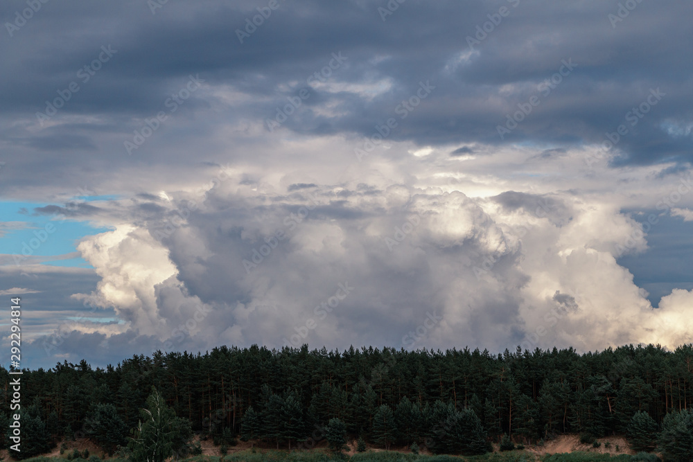 The sky above the forest in summer. The sky above the forest in summer.