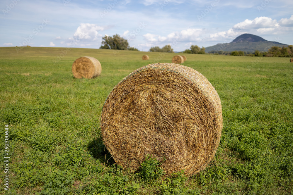 Haystacks on the meadow in Hungar