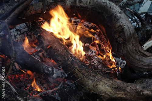 bright bonfire in a tourist camp