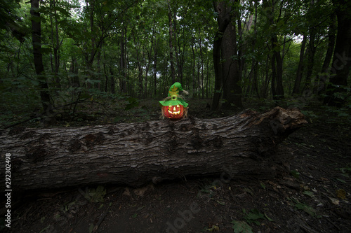 halloween pumpkin in a dark mystical forest © serikbaib
