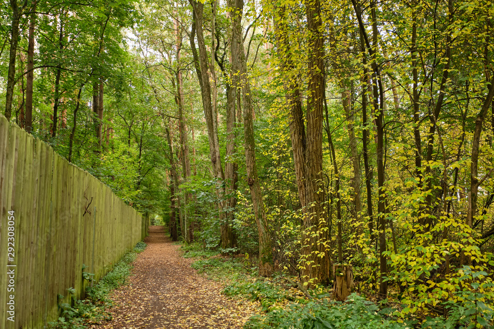 Beautiful autumn landscape with a footpath leading along a wooden fenkde into a late summer forest in Germany with green and yellow leaves Beautiful autumn landscape with a footpath leading along a wooden fenkde into a late summer forest in Germany with green and yellow leaves