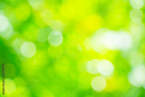 beautiful bokeh background,green bokeh,beautiful bokeh abstract..
