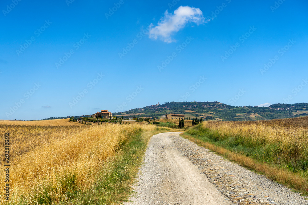 Rural landscape at summer near Volterra, Tuscany