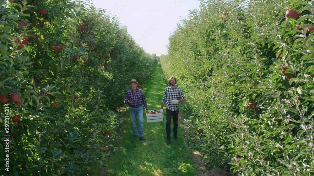 Two farmers talking about apple business Two farmers talking about apple business