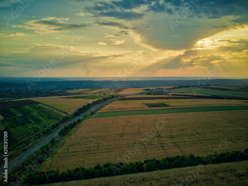 Aerial drone view of grain fields, wheat during golden sunset. Agricultural pattern. Moldova republic of.