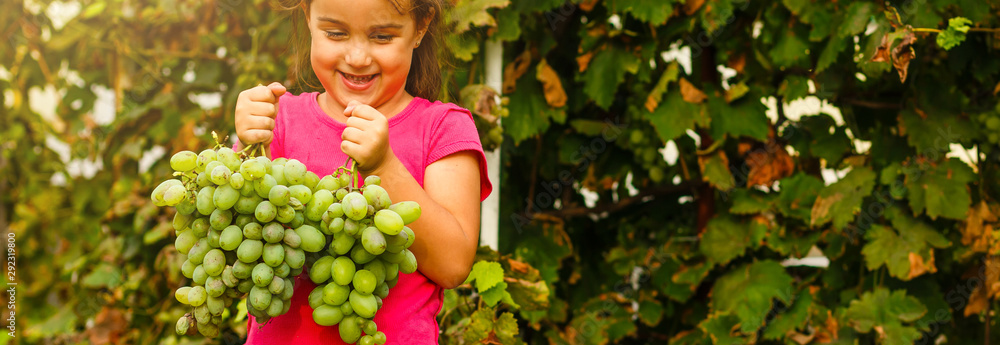 Little girl with grapes outdoors Little girl with grapes outdoors