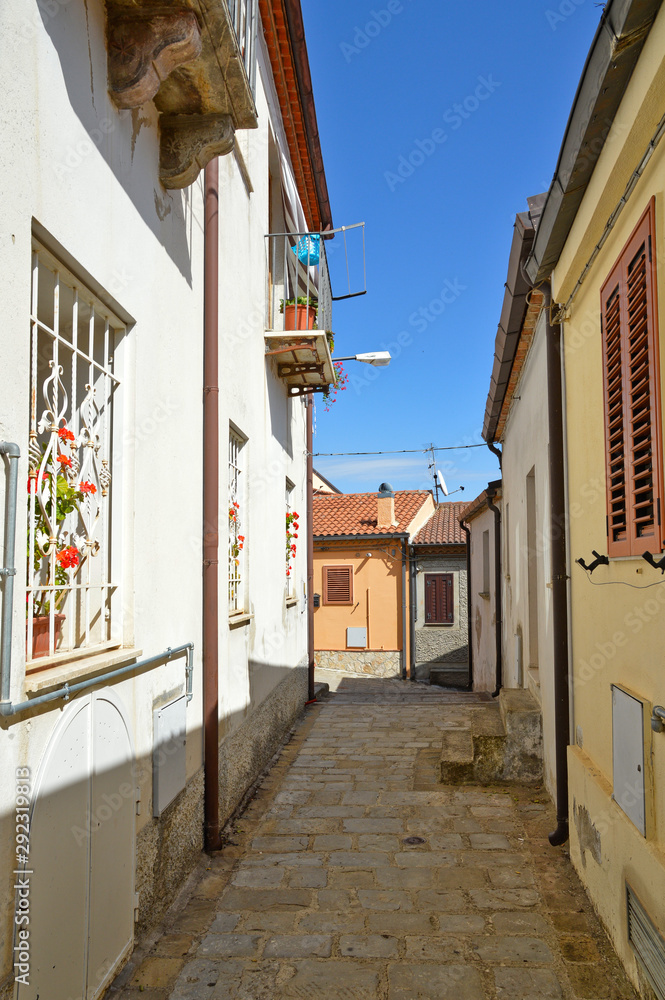 Fototapeta premium Brindisi di Montagna, a narrow street among the old houses of a mountain village in the Basilicata region. 
