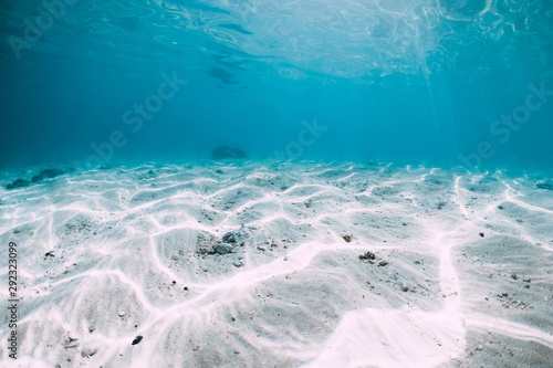 Blue ocean with white sand bottom underwater in Hawaii © artifirsov