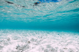 Blue ocean with white sand bottom underwater in Hawaii