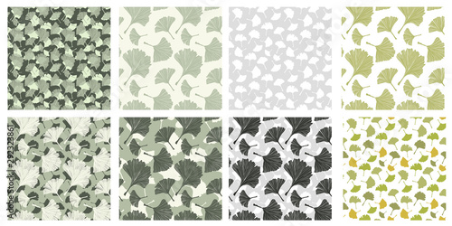 Japanese Patterns Collection with Gingko Biloba Plant Leaves. Vector Botanical, Healthy Textures Pack for Print Design and Fabric Textile, Scrapbook. Pale Sage Color and Ivory Background. Large Scale