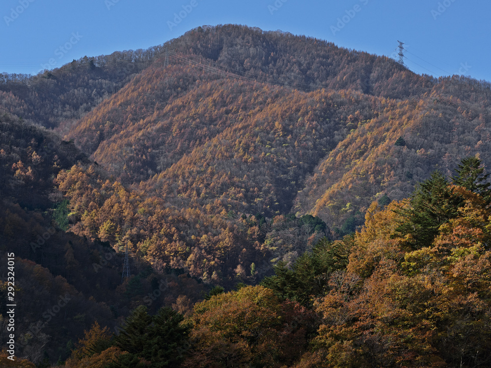 Naklejka premium 秋の山