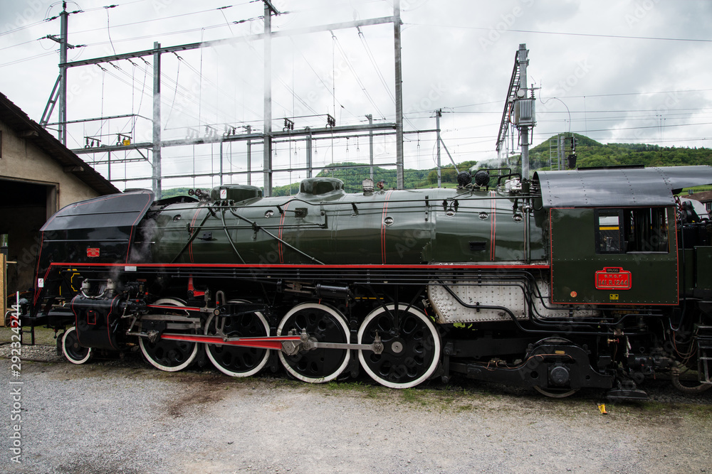 Naklejka premium Dampflock