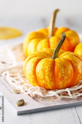Still life composition with colorful decorative mini pumpkins and pumpkin seeds. Mini orange pumpkins, holiday decoration.