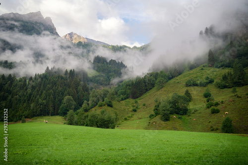 Alpine valley with grazing cows in the distance and mountains in the clouds, Austria