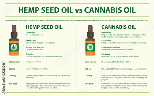 Hemp Seed Oil vs Cannabis Oil horizontal infographic illustration about cannabis as herbal alternative medicine and chemical therapy, healthcare and medical science vector.
