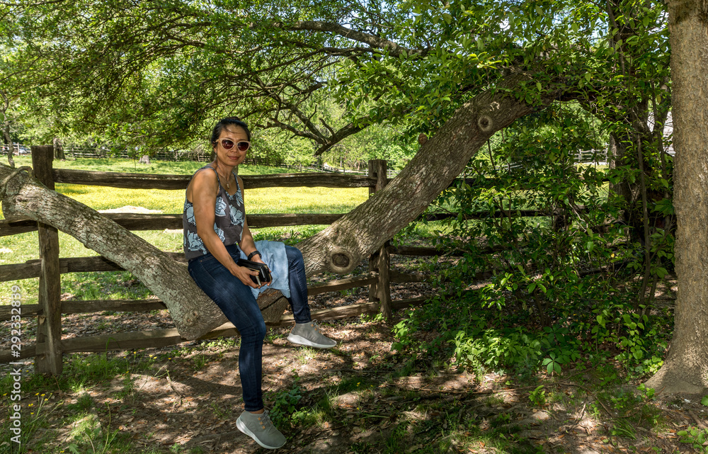 Woman sitting on branch of tree in front of pasture Woman sitting on branch of tree in front of pasture