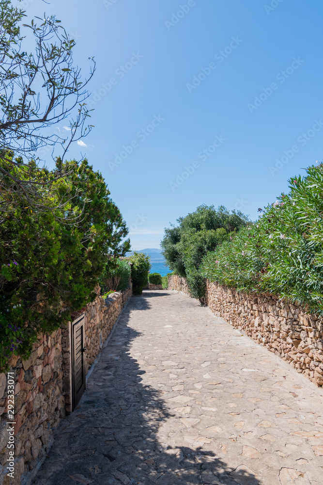 Quiet deserted street overlooking the sea surrounded by green bushes against a blue sky