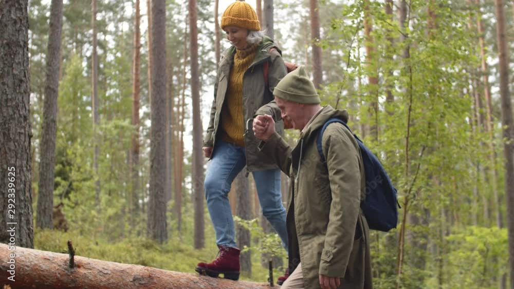Following shot of aged man holding hand of his wife going along lying tree in woods Following shot of aged man holding hand of his wife going along lying tree in woods
