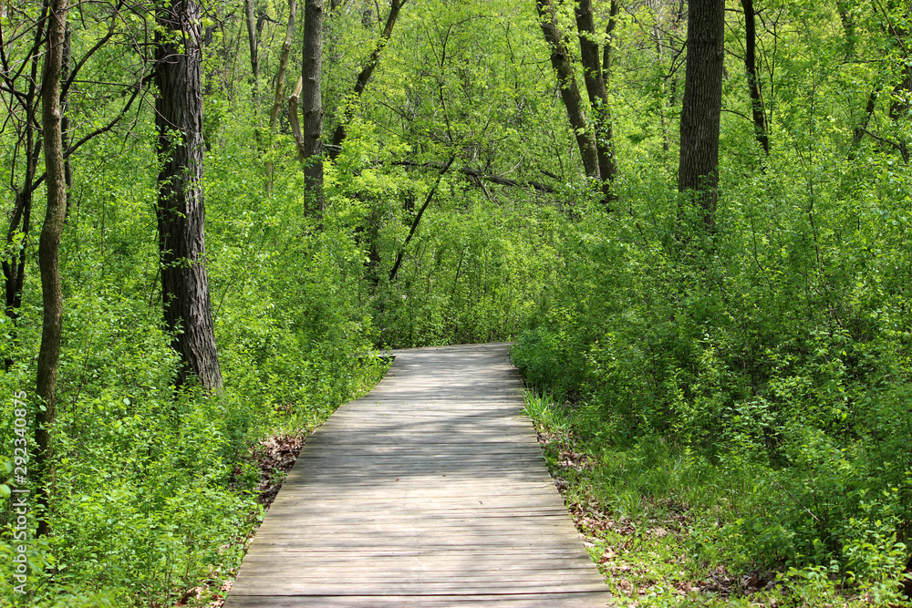 Boardwalk