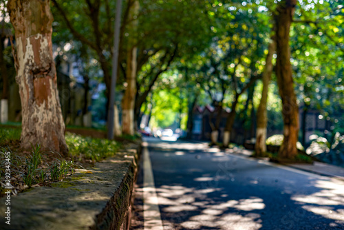 Shooting the avenue in the park by means of illusion