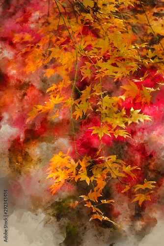 Digital watercolor painting of Beautiful colorful vibrant red and yellow Japanese Maple trees