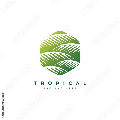 Palm leaf logo design template.luxury elegant palm tree symbol