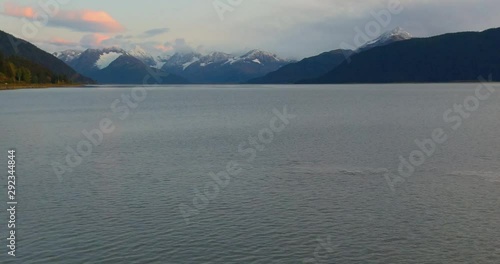 The Beluga Whales of Alaska's Cook Inlet