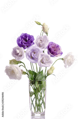 bunch of violet, white and violet eustoma flowers in glass vase isolated on white