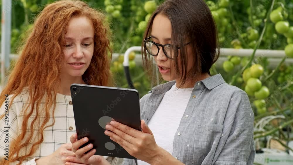 Agricultural Workers Checking Tomato Plants Using Digital Tablet. Beautiful young couple in casual clothes is holding a plant. Agricultural Workers Checking Tomato Plants Using Digital Tablet. Beautiful young couple in casual clothes is holding a plant.