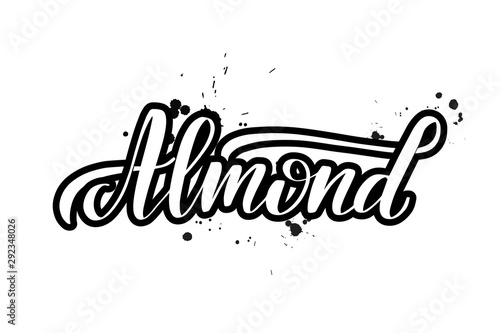 Vector calligraphy illustration isolated on white background