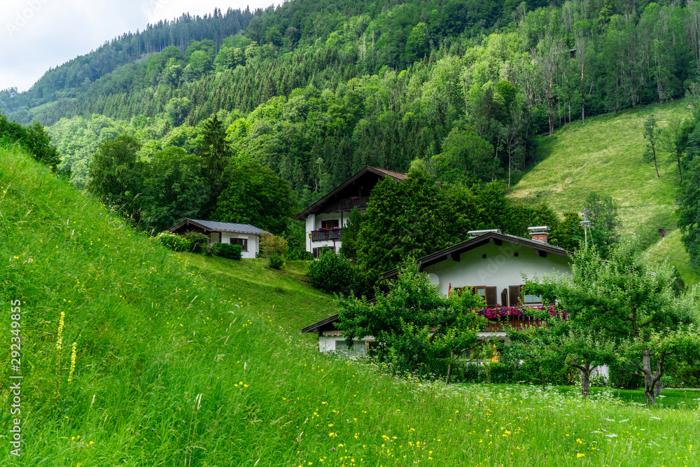 View of a house in the mountains with a colorful meadow in the foreground