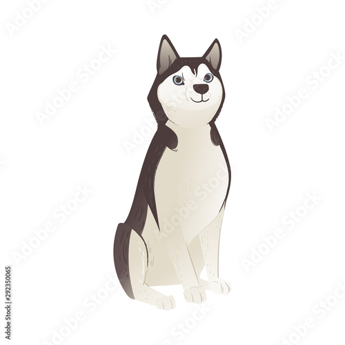䌀甀琀攀 挀愀爀琀漀漀渀 栀甀猀欀礀 猀椀琀琀椀渀最 漀渀 琀栀攀 昀氀漀漀爀 椀猀漀氀愀琀攀搀 漀渀 眀栀椀琀攀 戀愀挀欀最爀漀甀渀搀