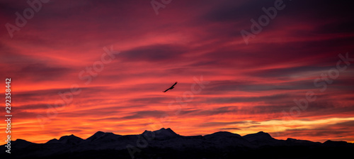 Soaring red sky photo